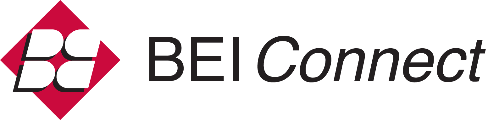 BEI Connect Logo